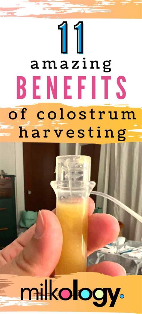 11 Amazing Benefits Of Colostrum Harvesting — Milkology®