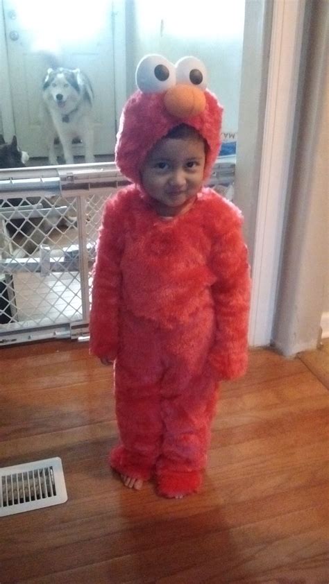 Elmo's Halloween costume | Elmo halloween costume, Halloween costumes, Elmo