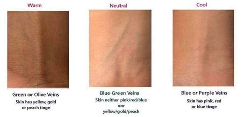 How to Know Your Undertone? A Full Guide for Your Skin Color