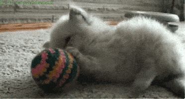 Yarn Ball GIFs - Find & Share on GIPHY