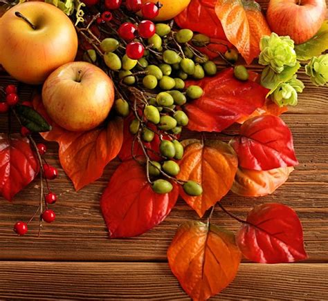 Les plus belles images d'automne pour fond d'écran - découvrez-les ici! | Осень, Картинки, Натюрморт