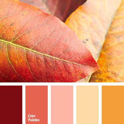 peach | Page 2 of 8 | Color Palette Ideas