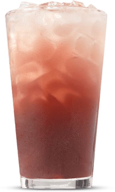 Arby's Regular Blueberry Lemonade Nutrition Facts