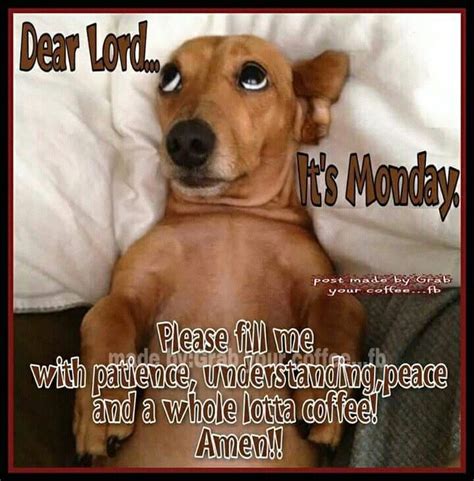 Funny Monday Morning Quotes And Sayings - Quotes