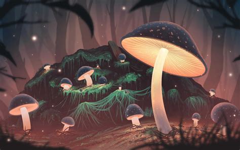 Mushroom Forest Wallpapers and Backgrounds 4K, HD, Dual Screen