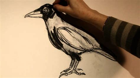 Crow Drawing Tutorial with Kat Thorsen - YouTube