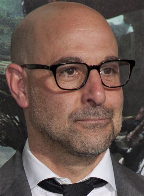 Stanley Tucci Transformers 4 Glasses