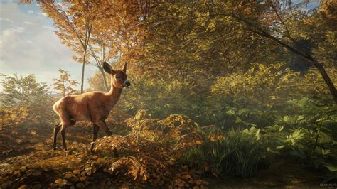 theHunter: Call of the Wild (2017 video game)