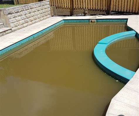 Cloudy Pool Water Brown