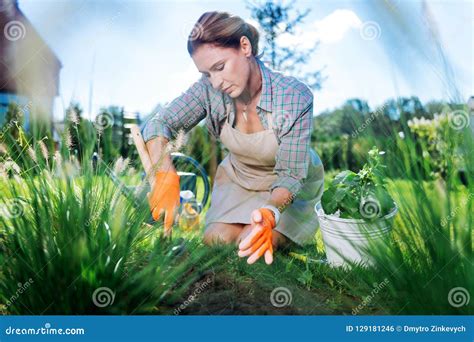 Appealing Mature Woman Wearing Orange Gloves Pulling the Weeds in Garden Stock Photo - Image of ...