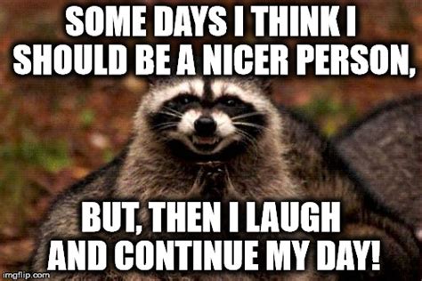 Evil Plotting Raccoon Meme - Imgflip