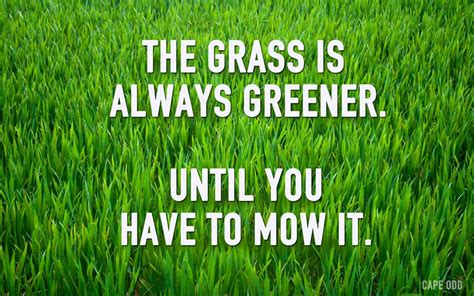 The grass is always greener until you have to mow it.