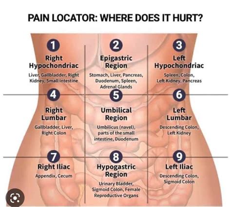 Constipation and abdominal pain : r/Ozempic