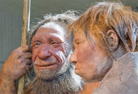 Penemuan Tulang Anak Neanderthal di Polandia: Fakta dan Analisis - Cuakz Media