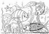 29 Fish And Octopus Coloring Pages For Kids  Free Printables sketch template