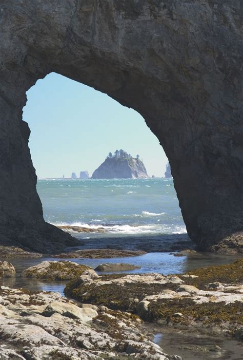 Rialto Beach Rock | Rialto beach, Beach rock, Washington usa