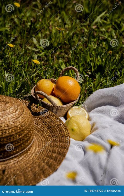 Picnic in a sunny day. stock photo. Image of rustic - 186748722