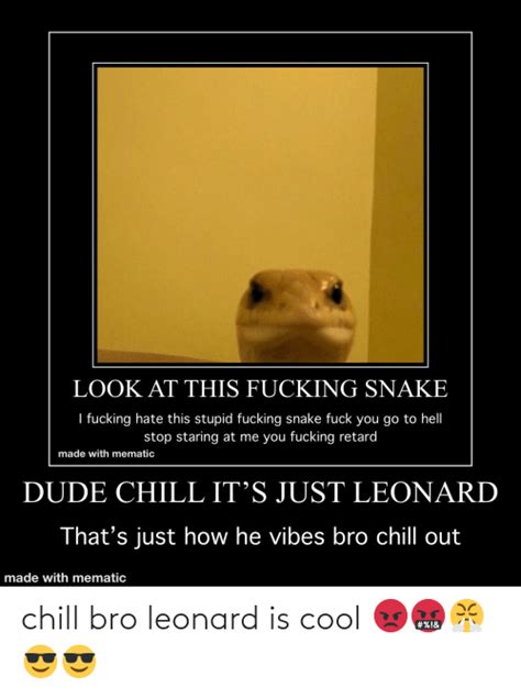 Chill Bro Leonard Is Cool 😡🤬😤😎😎 | Chill Meme on ME.ME