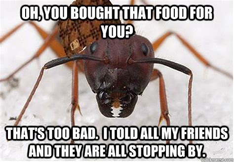 Scumbag Ant memes | quickmeme