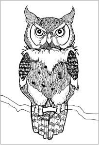 Owls Coloring Pages for Adults - Page 2
