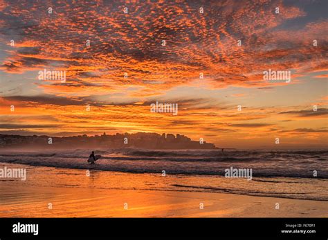 Bondi Beach sunrise with surfer Stock Photo - Alamy