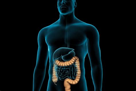 Understanding Gastrointestinal Endoscopy - Regency Healthcare