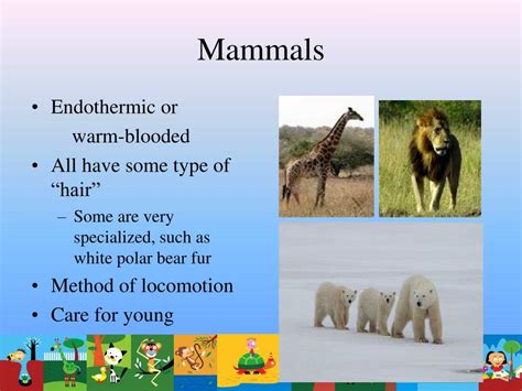 PPT - Animal Adaptations PowerPoint Presentation, free download - ID:652351