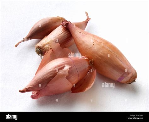 Echalion shallots on a white background editorial food Stock Photo - Alamy