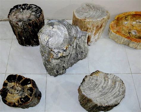 petrified wood table los angeles ca | IndoGemstone Petrified… | Flickr