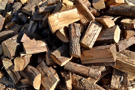 Free Images : tree, trunk, soil, firewood, lumber, wood pile, material ...