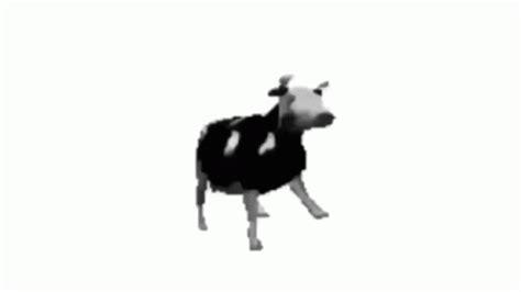 Polish Cow Dancing Cow GIF - PolishCow DancingCow TransparentCow - Discover & Share GIFs