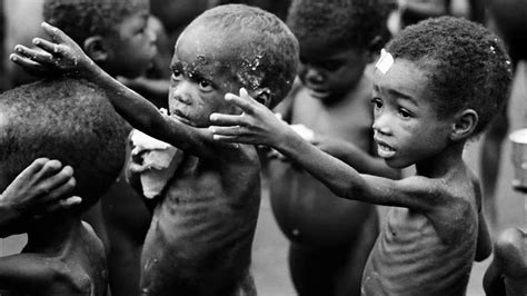 Biafra Genocide Exhibition: The Picture Of Starving Biafran Children Is NOT A Propaganda | The ...