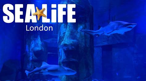 SEA LIFE London Aquarium Vlog May 2021 - YouTube