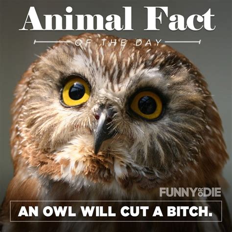 Animal Fact of the Day