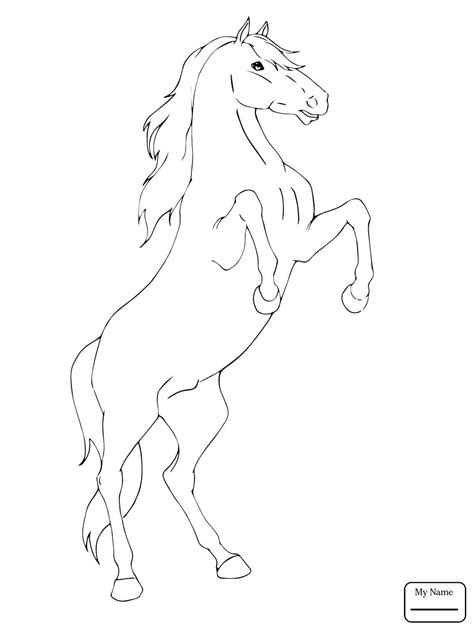 Bucking Horse Drawing at GetDrawings | Free download