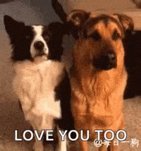 Love You Too Images Gif