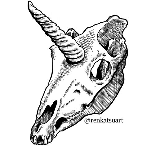 Unicorn Skull, [2D] [Clip Studio Paint Pro] [commission], feedback welcomed : r/DigitalArt