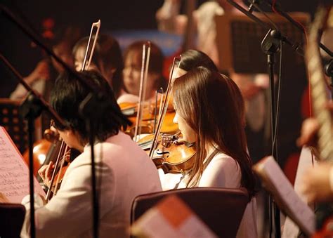 violin, wood, classic, music, classical music, cello, played, instrument, concert, show | Pikist