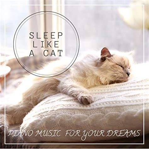 Sleep like a Cat : Piano Music for your Dreams von VARIOUS ARTISTS bei Amazon Music Unlimited