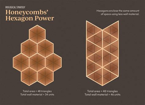 Honeycomb Design Structure - vrogue.co