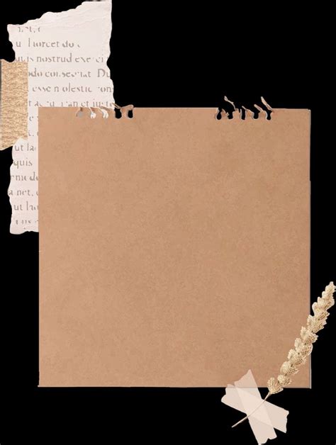 Minimalist Collage with Torn Papers and Birds