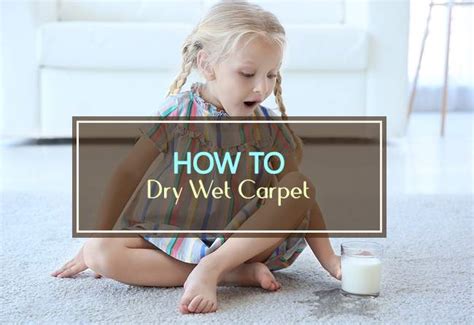 How to Dry Wet Carpet Properly (4 Steps) - Household Advice