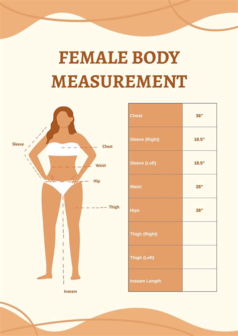 Female Body Measurement Chart Illustrator, PDF | atelier-yuwa.ciao.jp