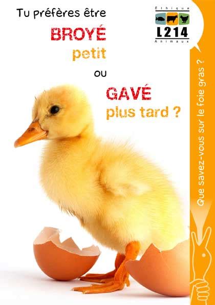 brochures/foie-gras | Visuels L214