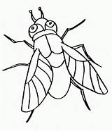 Fly Coloring Pages To Download And Print For Free sketch template