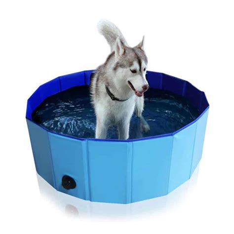 Top 10 Best Dog Bath Tubs in 2021 Reviews - Guide Me