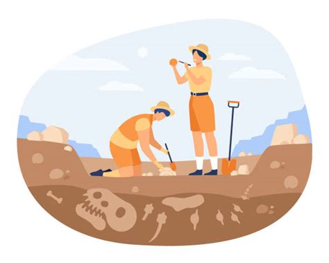 Archaeology Illustrations, Royalty-Free Vector Graphics & Clip Art - iStock