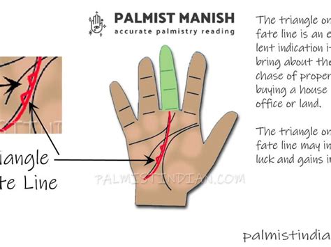 Fate line Palmistry - Saturn line/Destiny line Palmist Manish