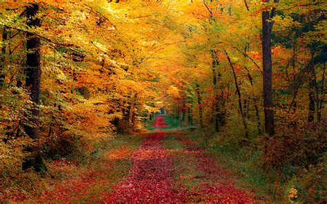 Bilder von Natur Herbst Jahreszeiten