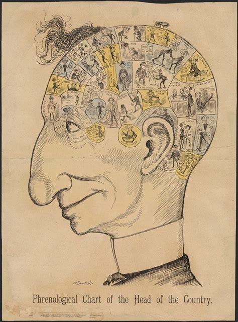 Historical Document 2: A Phrenological Chart of the Head of the Country (1887) – DRAFT: Open ...